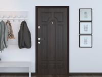 Стальная дверь Премиум