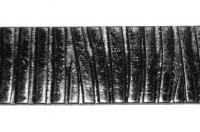 Полоса Арт. 40411П